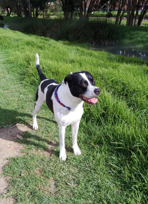 Max