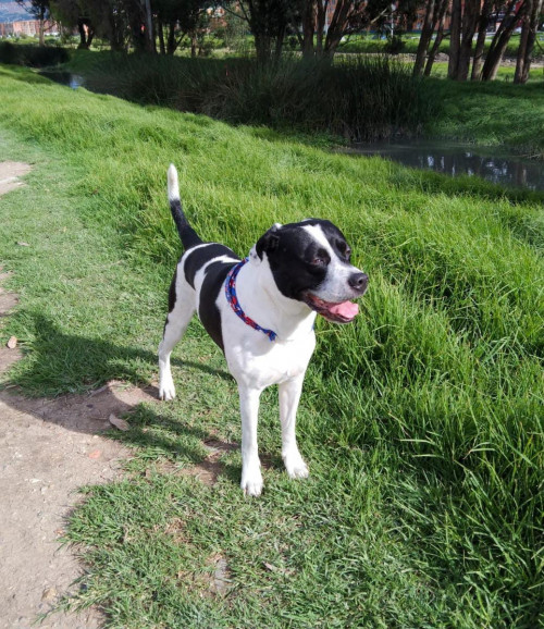 Max