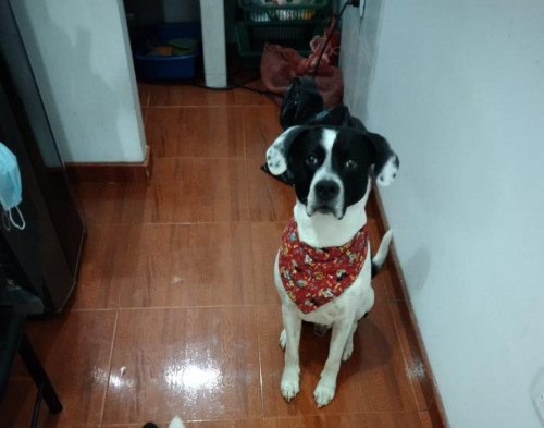 Max