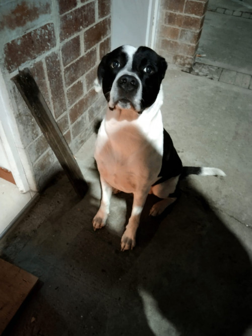 Max