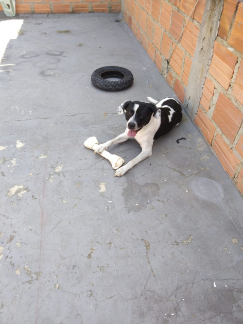 Max