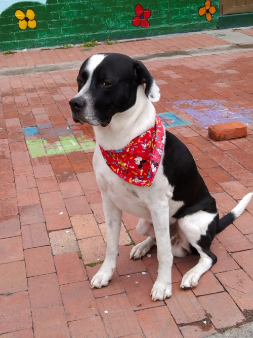 Max