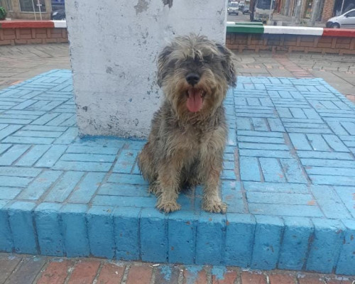 Niño