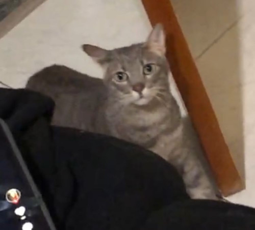 Matilda
