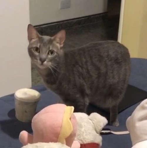 Matilda