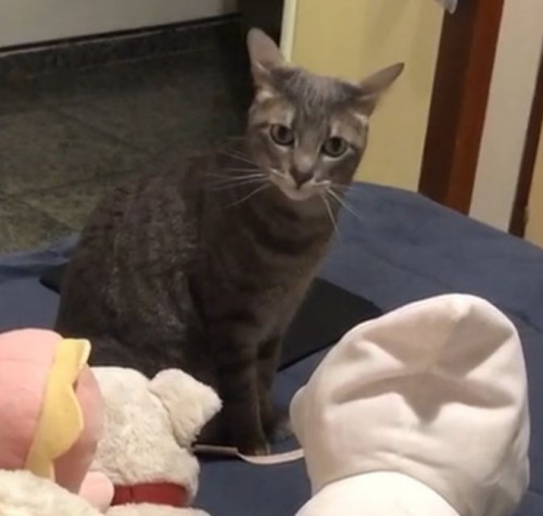 Matilda
