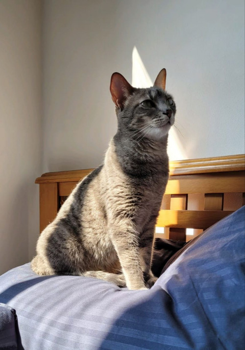 Matilda