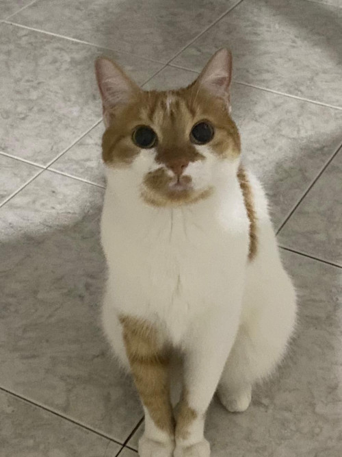 Frida