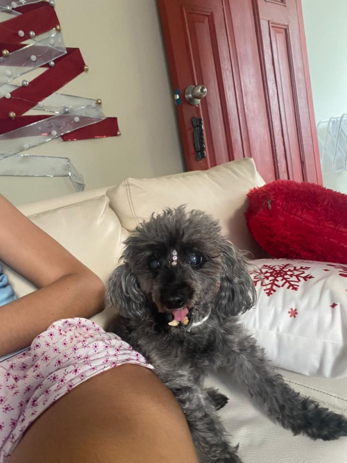 Molly