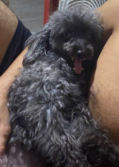 Molly