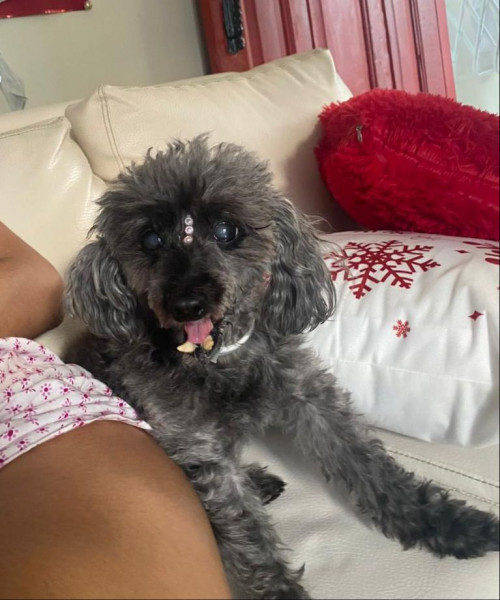 Molly