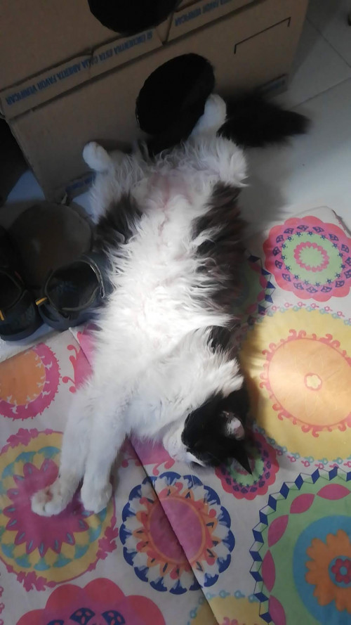 Lupita