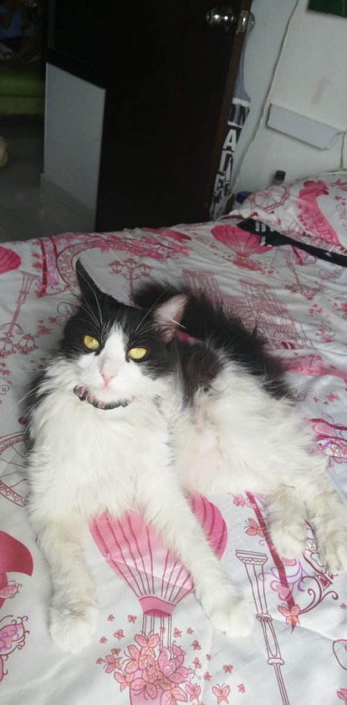 Lupita