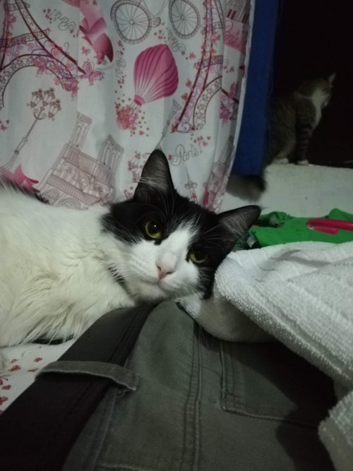Lupita
