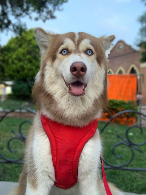 Fiona