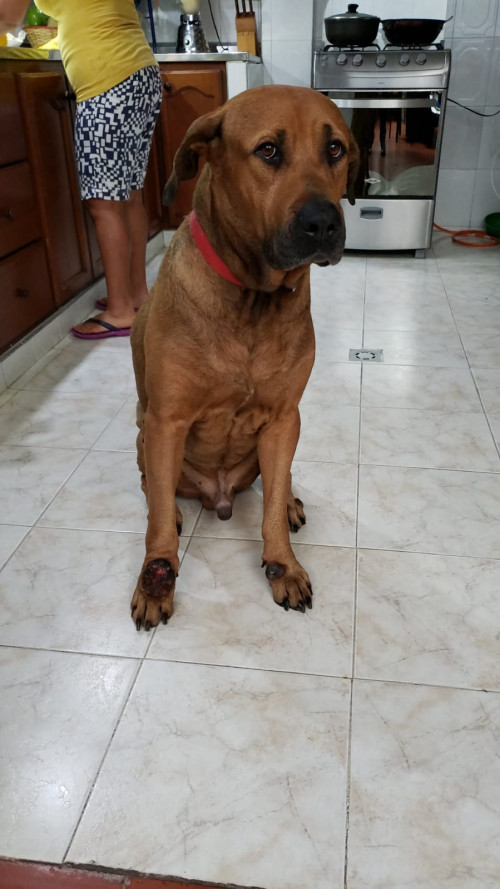 Paco