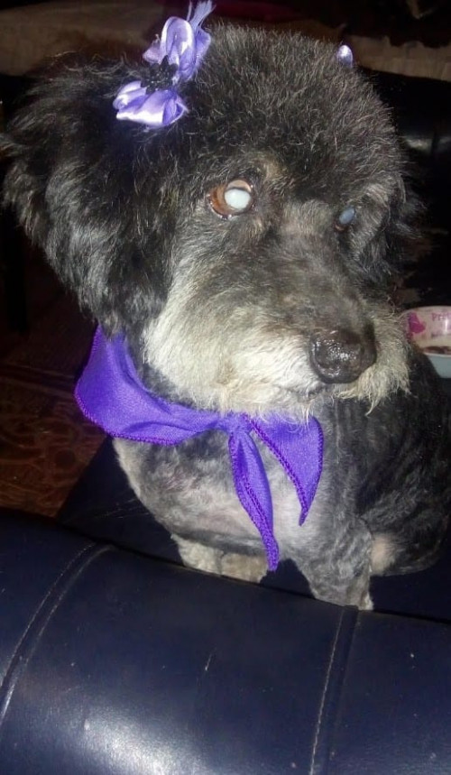 Muñeca