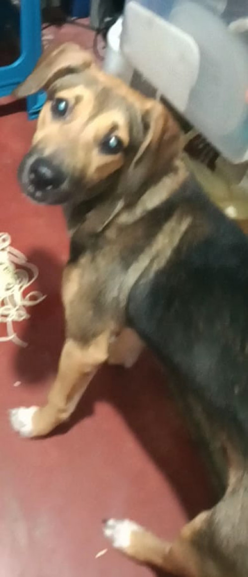 Luna