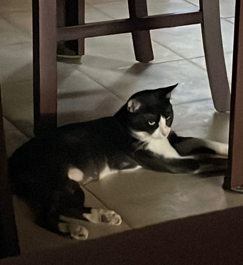 Cirilo