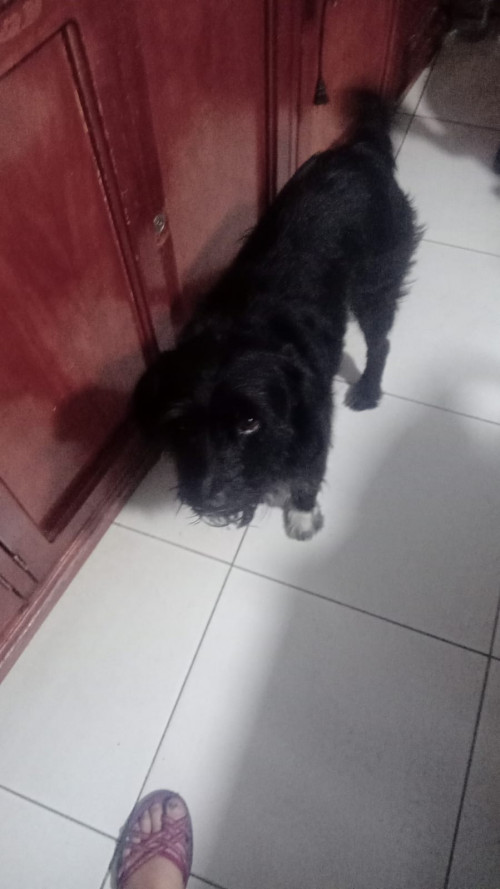 Max