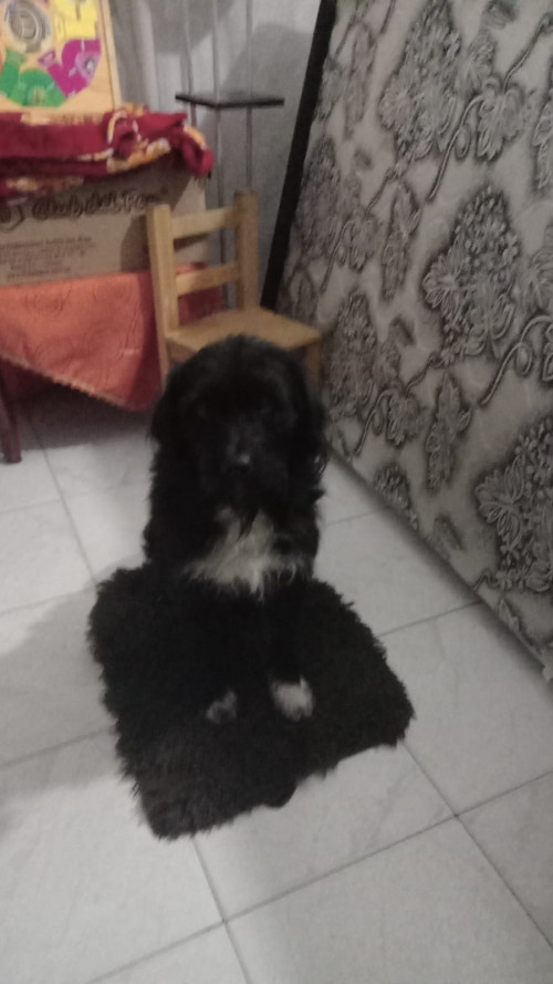 Max