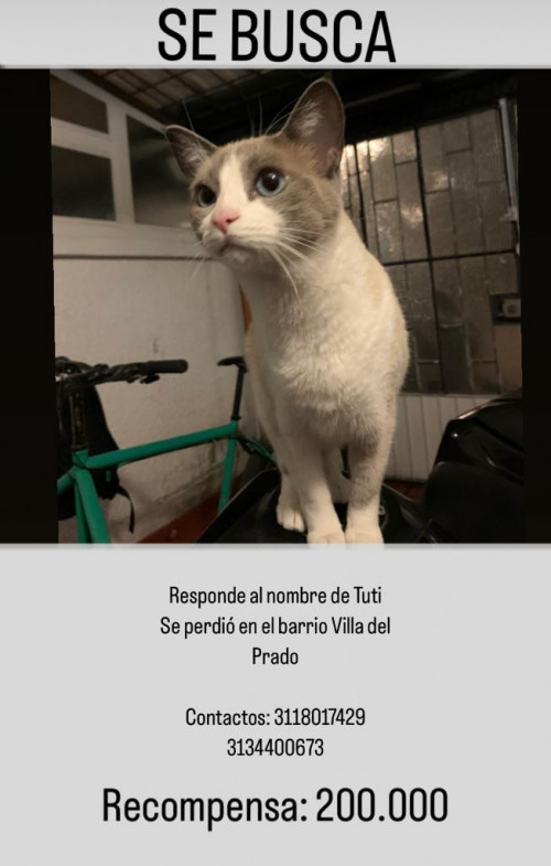 Tuti