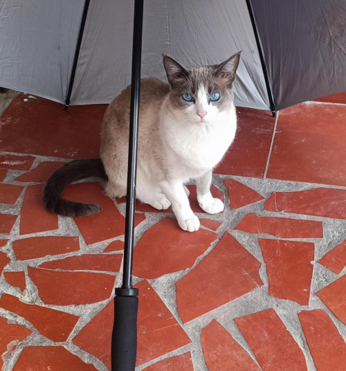 Tuti