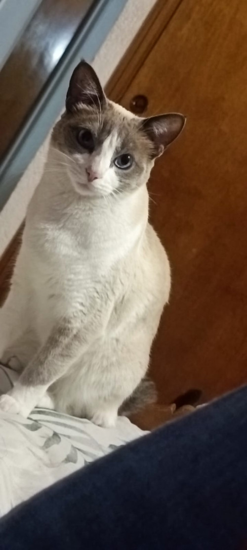 Tuti
