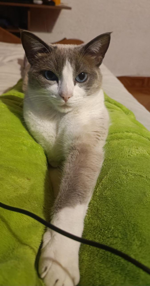 Tuti