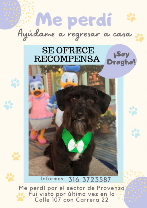 Drogho