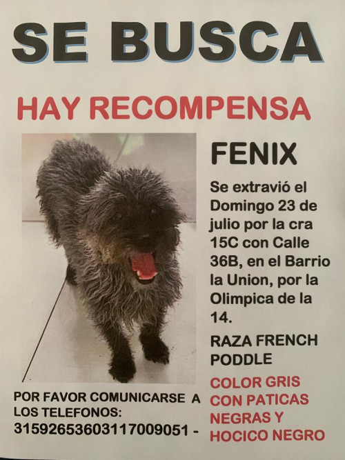 Fenix