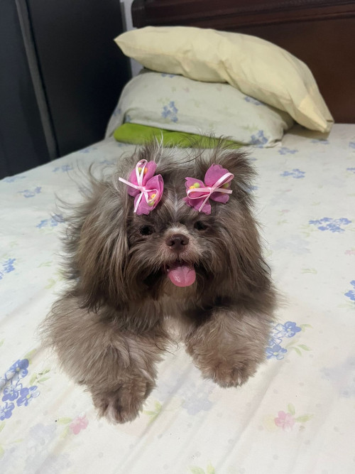 Minnie