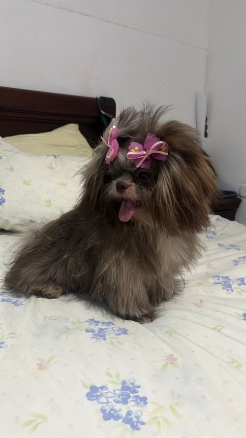 Minnie