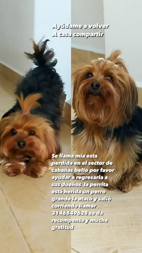 Mia