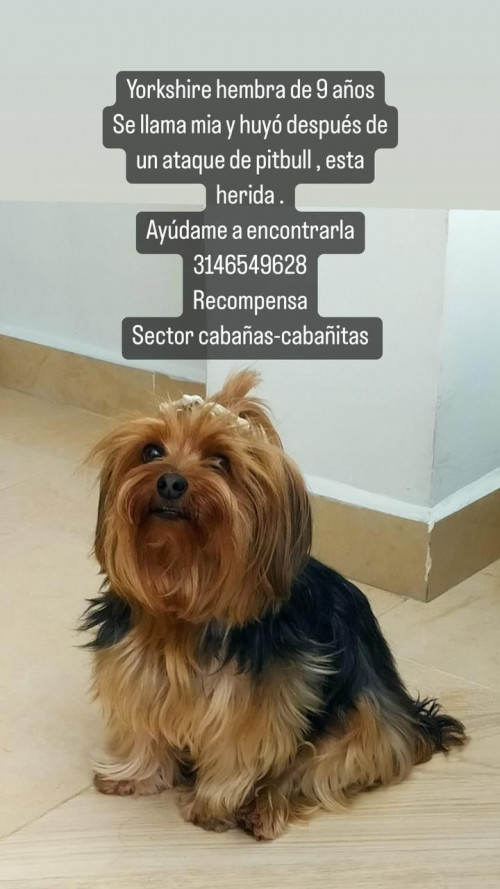 Mia