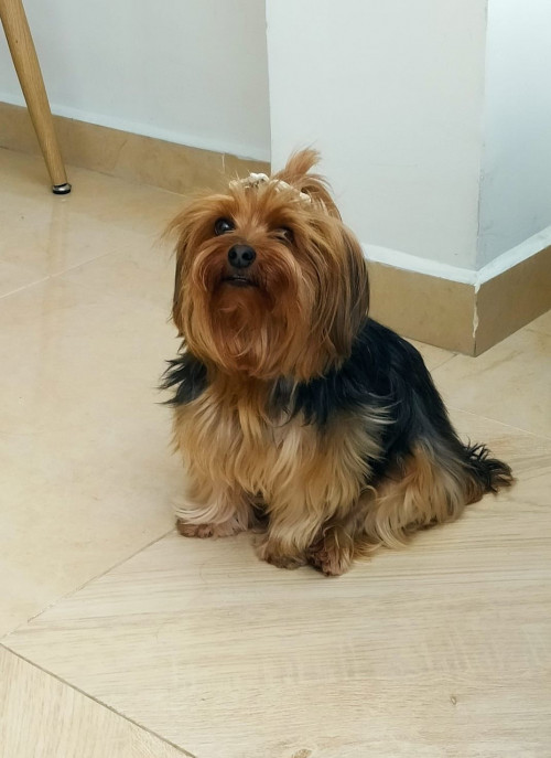 Mia