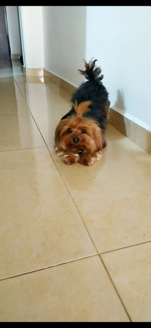 Mia