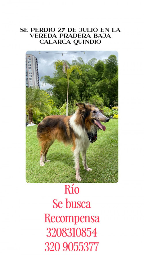 Río