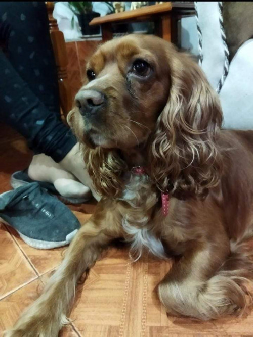 Zeus