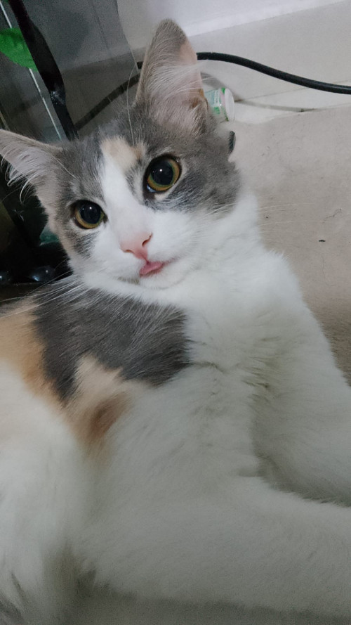 Samira