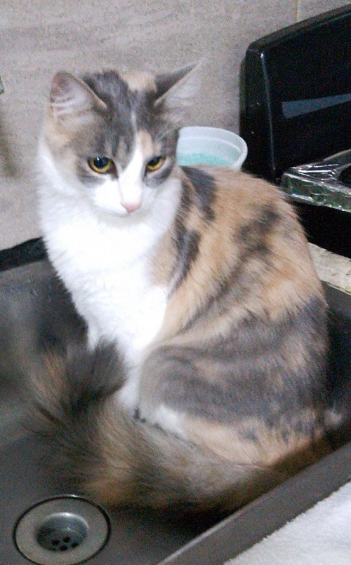 Samira