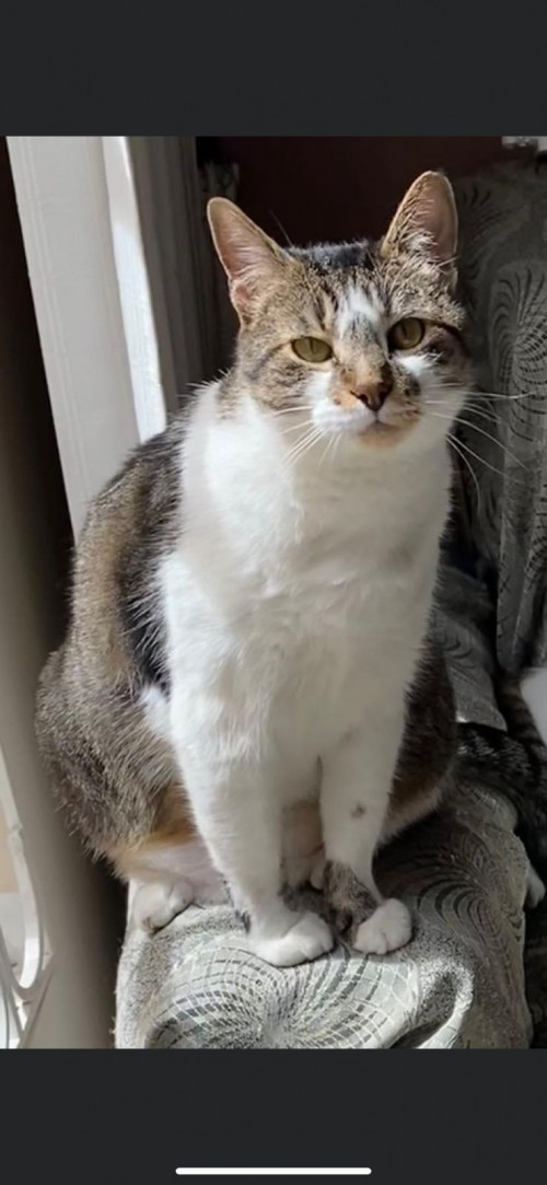 Molly