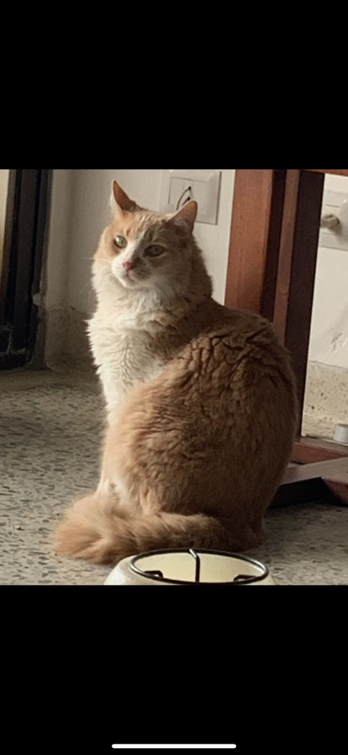 Thomas