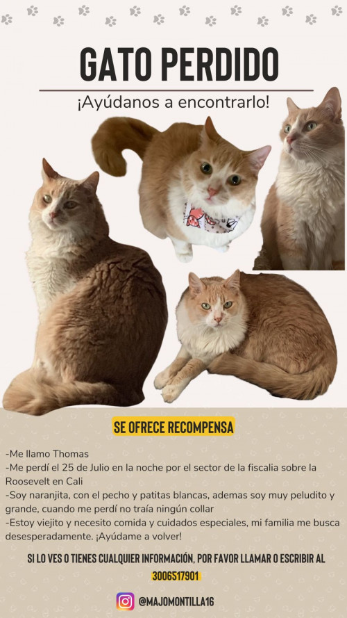 Thomas