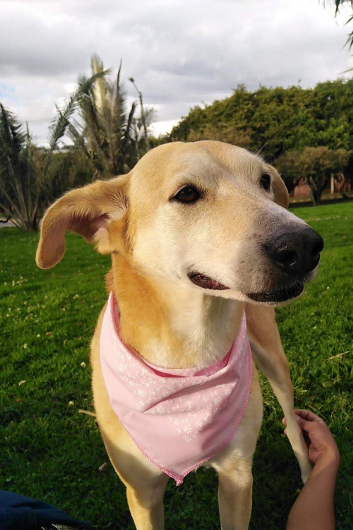 Matilda