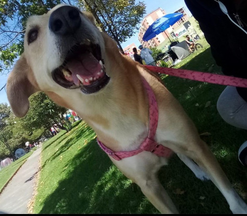 Matilda