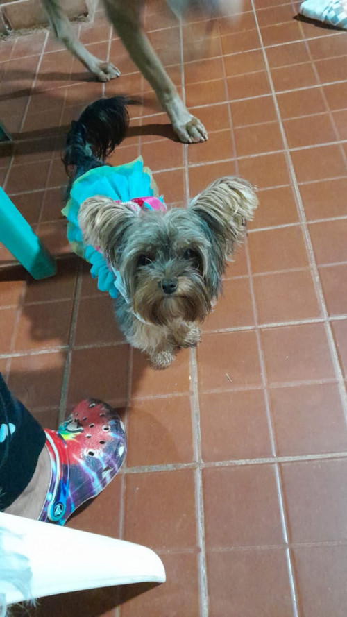 Lola