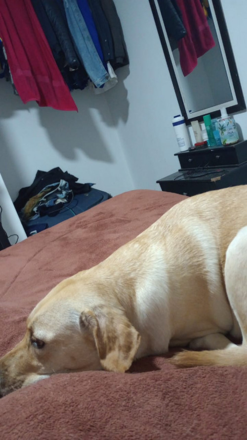 Kira