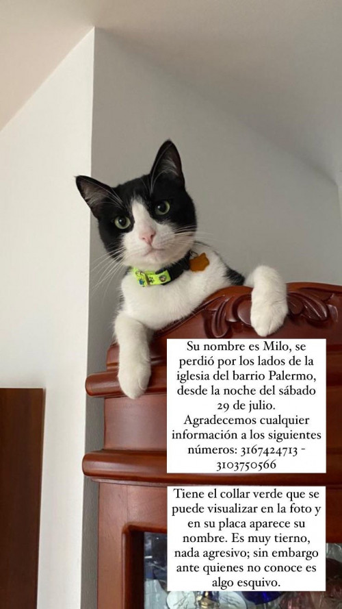 Milo