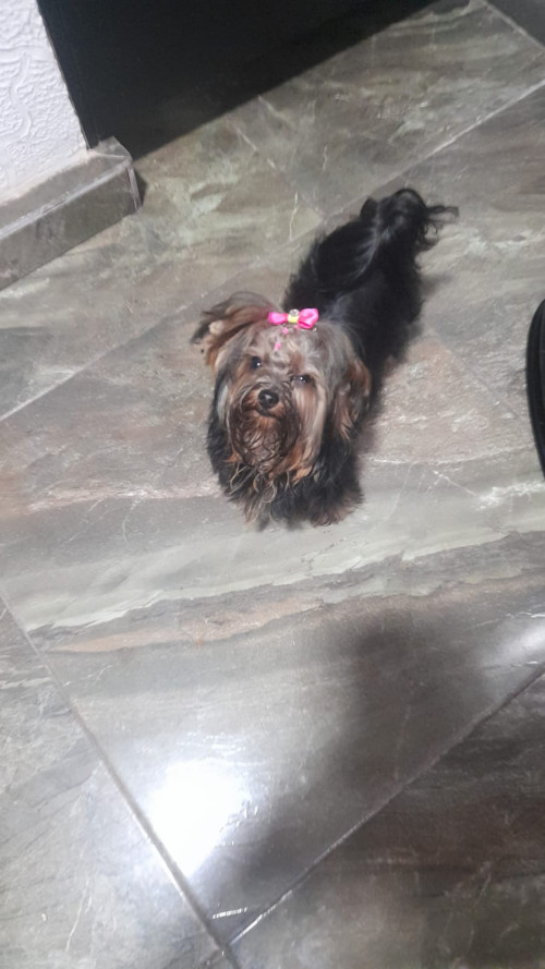 Luna Montoya